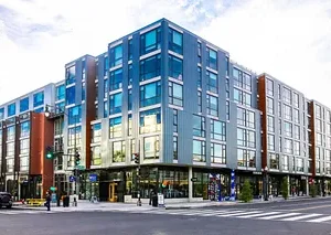 Bonobos Case Study: The Shay [DC]
